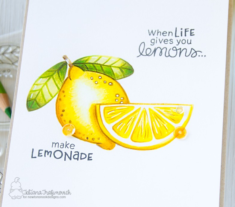 When Life Gives You Lemons #handmade card by Tatiana Trafimovich #tatianacraftandart - Lemon Twist stamp set by Newton's Nook Designs #newtonsnook