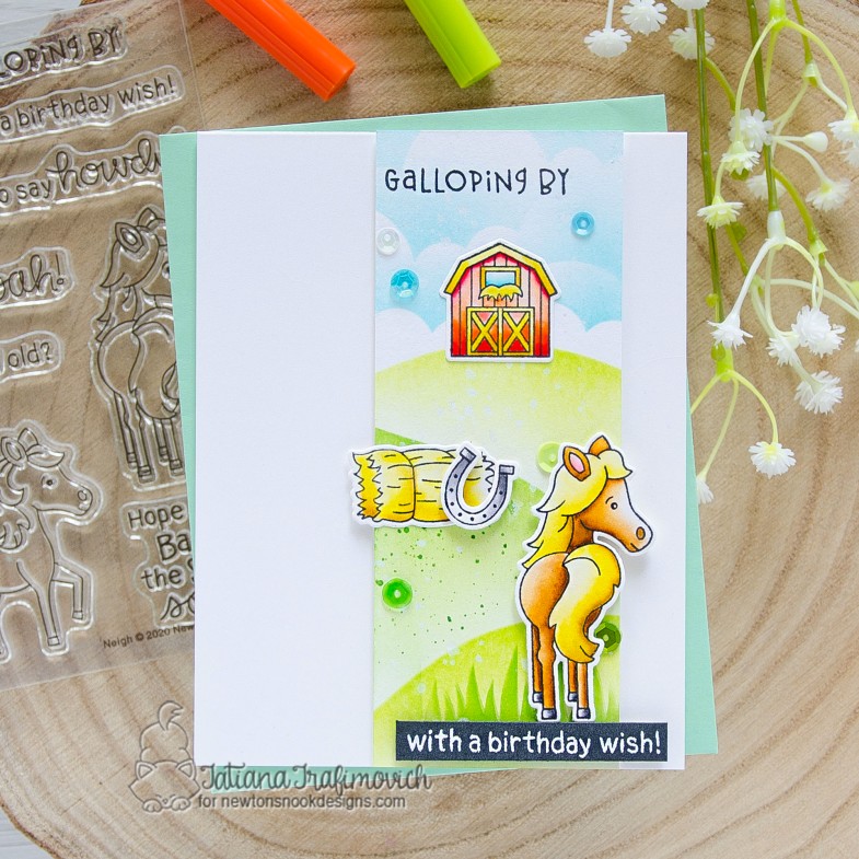 Galloping By With A Birthday Wish #handmade card by Tatiana Trafimovich #tatianacraftandart - Neigh stamp set by Newton's Nook Designs #newtonsnook